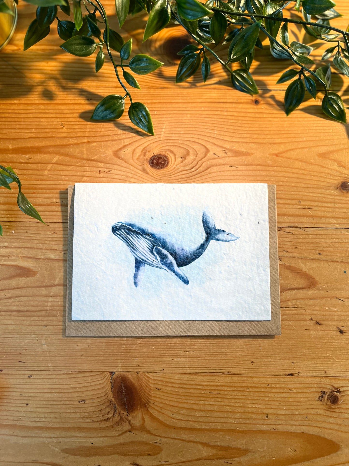 Paper Seed Card - WhalePaper Seed Card - Whale"Handmade, packed full of bee friendly flower seeds and made from 100% Pre-consumer recycled cotton"
Our seed paper cards are made here at Scribe and Grow using seedScribe & GrowScribe & GrowPaper Seed Card - Whale