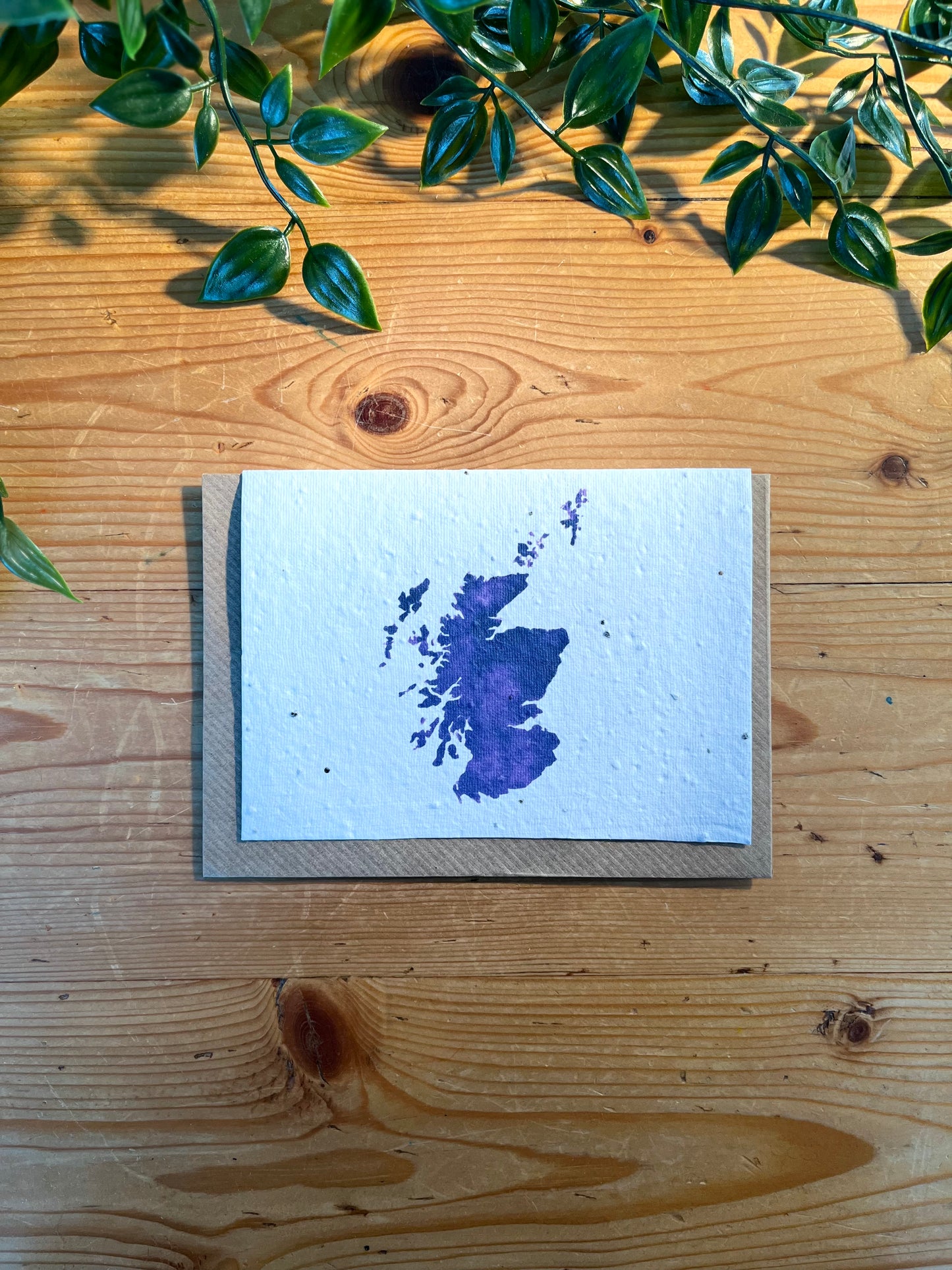 Paper Seed Card - Scotland (Copy)Paper Seed Card - Scotland (Copy)"Handmade, packed full of bee friendly flower seeds and made from 100% Pre-consumer recycled cotton"
Our seed paper cards are made here at Scribe and Grow using seedScribe & GrowScribe & GrowPaper Seed Card - Scotland (Copy)