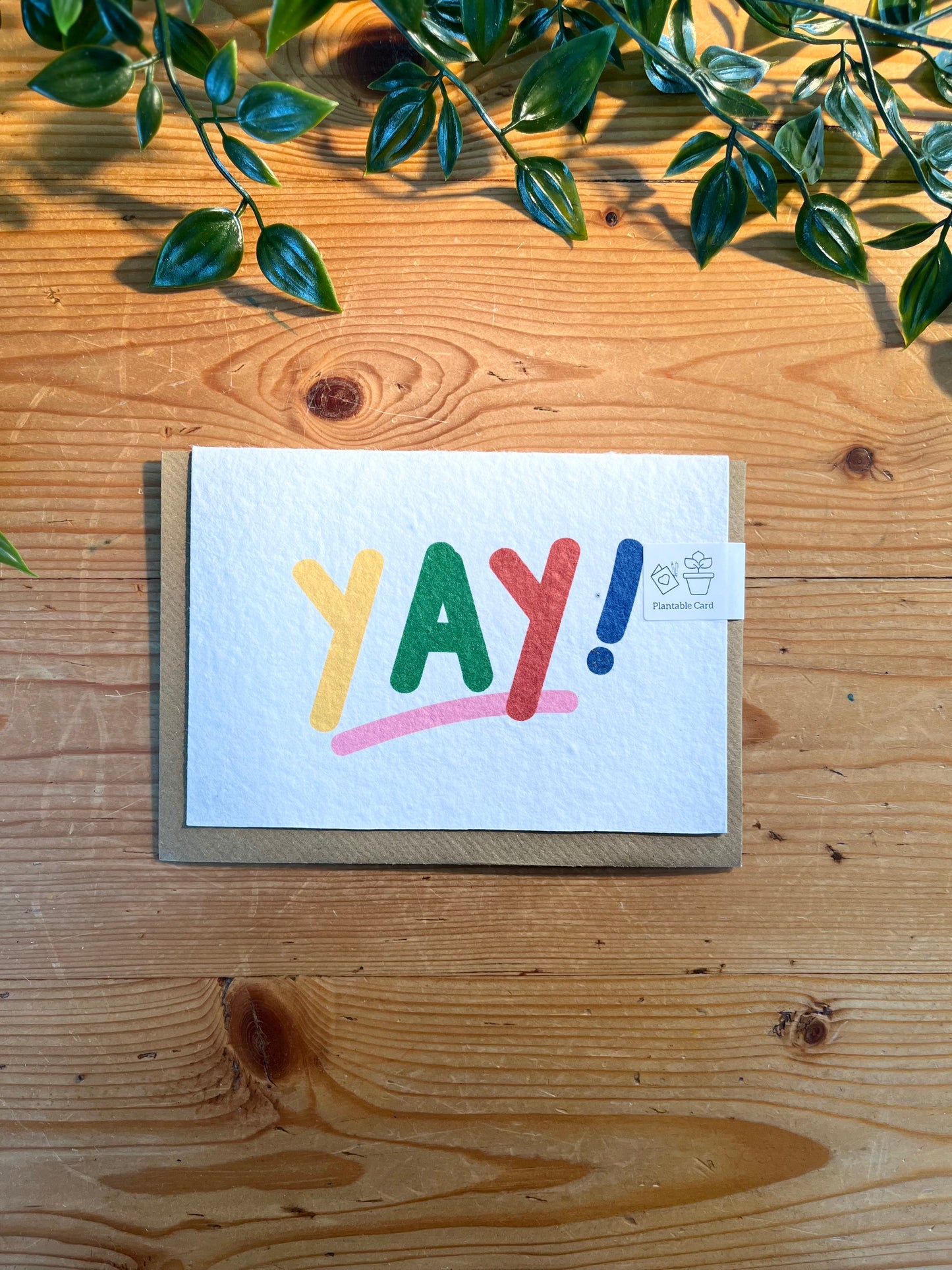 Paper Seed Card -Yay!Paper Seed Card -Yay!"Handmade, packed full of bee friendly flower seeds and made from 100% Pre-consumer recycled cotton"
Our seed paper cards are made here at Scribe and Grow using seedScribe & GrowScribe & GrowPaper Seed Card -Yay