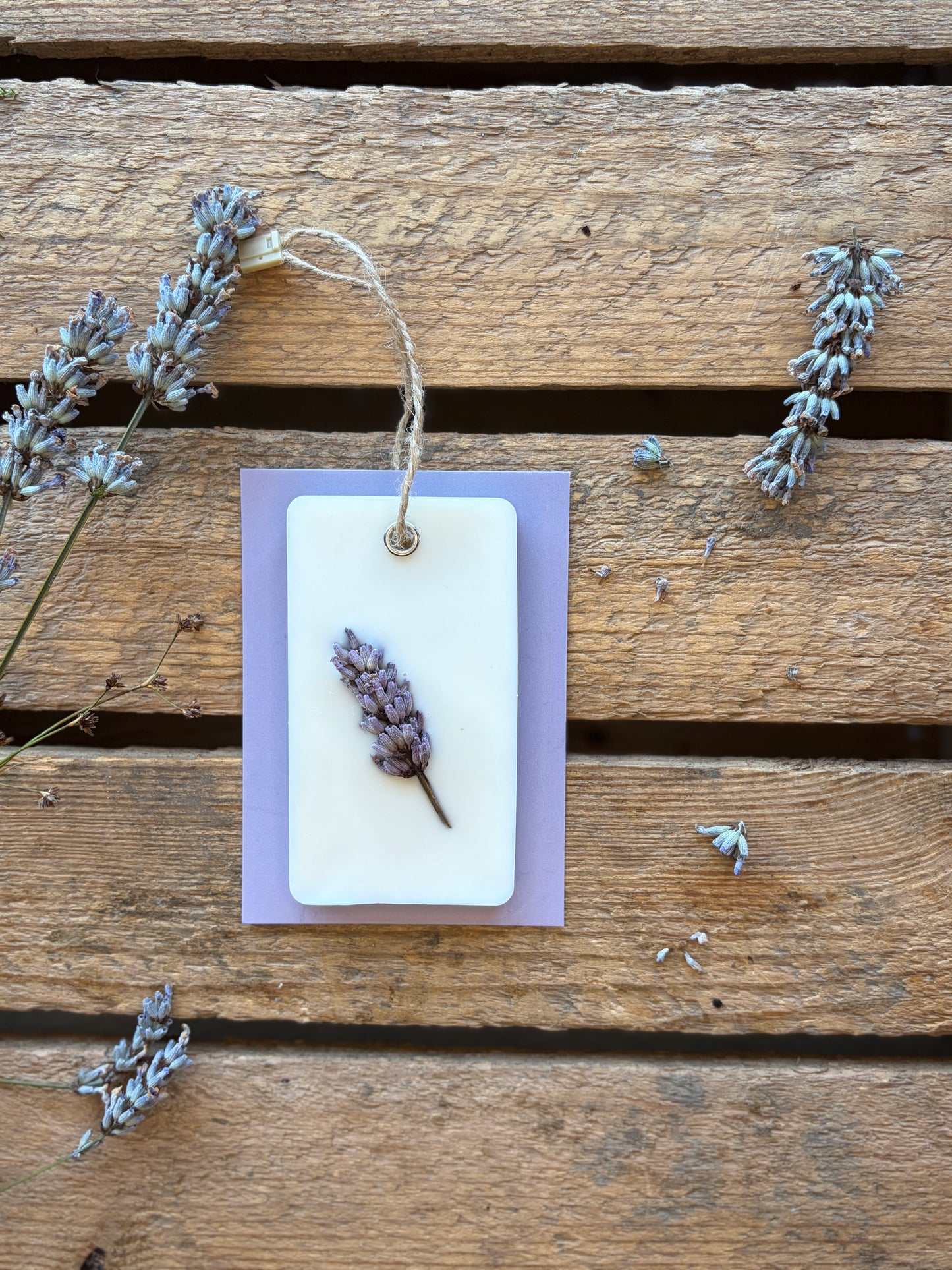 Hanging Wax Melts - Skye Time