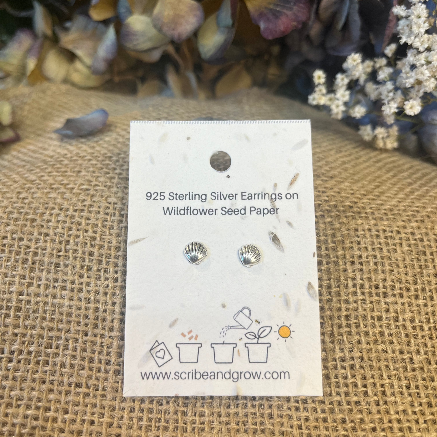 Shells - 925 Sterling Silver Earrings
