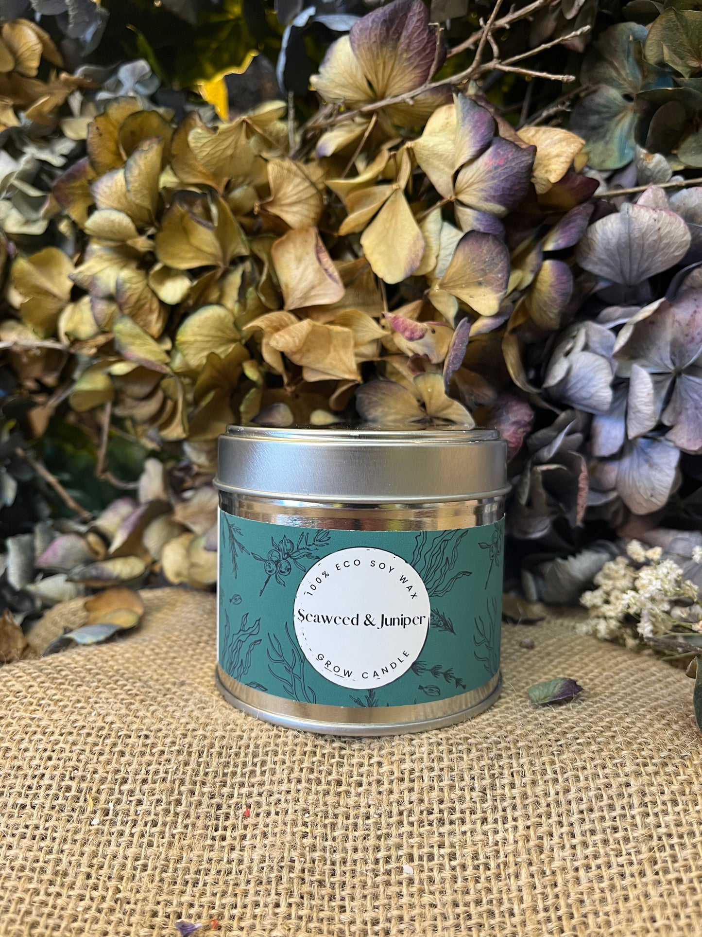 Grow Candle - Seaweed & JuniperScented CandleGrow Candle - Seaweed & JuniperRaspberries and cherries combined with pink and black peppercorns create a sophisticated fragrance, enhanced by notes of rose, musk, and amber.
Our Grow Candles are Scribe & GrowScribe & GrowGrow Candle - Seaweed & Juniper