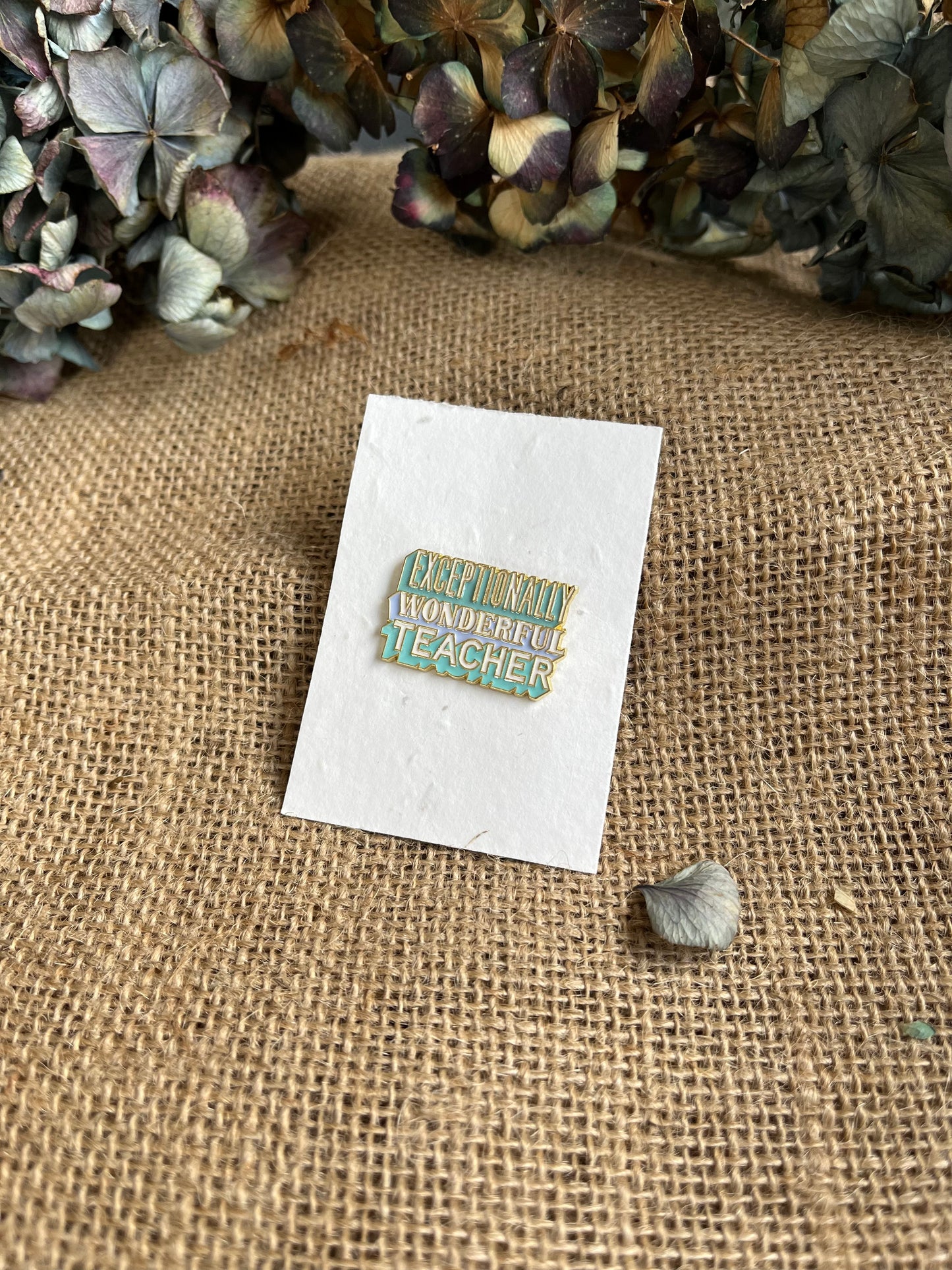 Enamel Pin - Exceptionally Wonderful Teacher