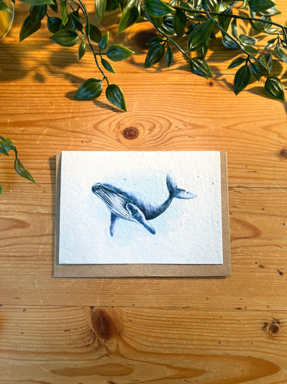 Paper Seed Card - WhalePaper Seed Card - Whale"Handmade, packed full of bee friendly flower seeds and made from 100% Pre-consumer recycled cotton"
Our seed paper cards are made here at Scribe and Grow using seedScribe & GrowScribe & GrowPaper Seed Card - Whale