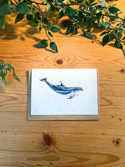 Paper Seed Card - DolphinPaper Seed Card - Dolphin"Handmade, packed full of bee friendly flower seeds and made from 100% Pre-consumer recycled cotton"
Our seed paper cards are made here at Scribe and Grow using seedScribe & GrowScribe & GrowPaper Seed Card - Dolphin
