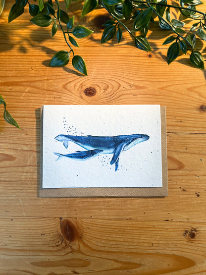 Paper Seed Card - Whale with babyPaper Seed Card - Whale with baby"Handmade, packed full of bee friendly flower seeds and made from 100% Pre-consumer recycled cotton"
Our seed paper cards are made here at Scribe and Grow using seedScribe & GrowScribe & GrowPaper Seed Card - Whale