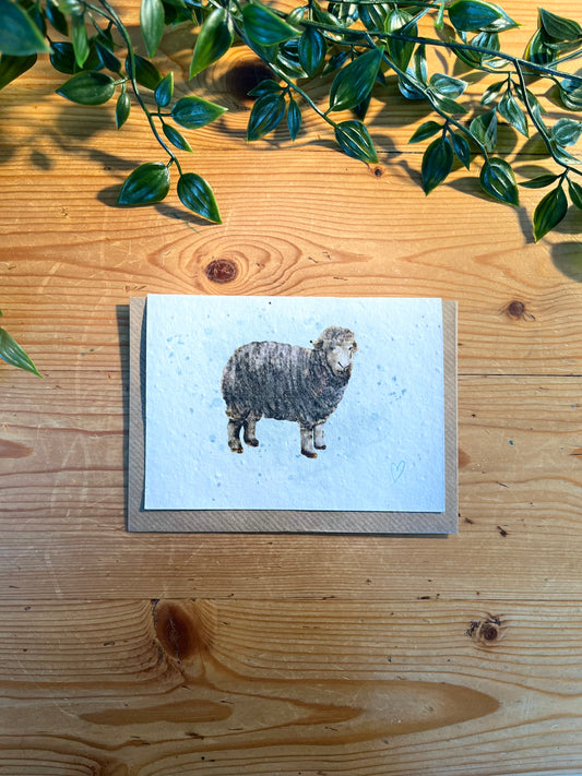 Paper Seed Card - SheepPaper Seed Card - Sheep"Handmade, packed full of bee friendly flower seeds and made from 100% Pre-consumer recycled cotton"
Our seed paper cards are made here at Scribe and Grow using seedScribe & GrowScribe & GrowPaper Seed Card - Sheep