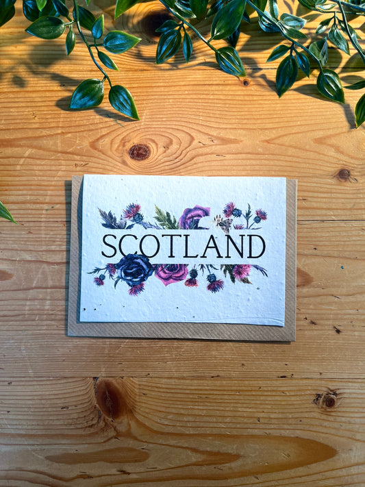 Paper Seed Card - ScotlandPaper Seed Card - Scotland"Handmade, packed full of bee friendly flower seeds and made from 100% Pre-consumer recycled cotton"
Our seed paper cards are made here at Scribe and Grow using seedScribe & GrowScribe & GrowPaper Seed Card - Scotland