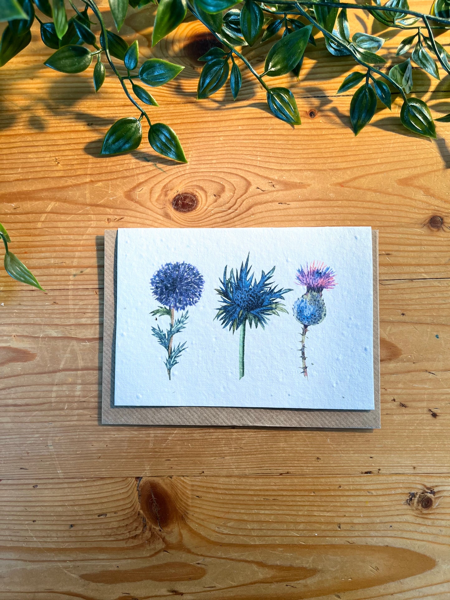 Paper Seed Card -  Thistles X3Paper Seed Card -  Thistles X3"Handmade, packed full of bee friendly flower seeds and made from 100% Pre-consumer recycled cotton"
Our seed paper cards are made here at Scribe and Grow using seedScribe & GrowScribe & GrowPaper Seed Card - Thistles X3