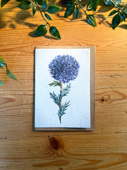 Paper Seed Card -  Thistle PortraitPaper Seed Card -  Thistle Portrait"Handmade, packed full of bee friendly flower seeds and made from 100% Pre-consumer recycled cotton"
Our seed paper cards are made here at Scribe and Grow using seedScribe & GrowScribe & GrowPaper Seed Card - Thistle Portrait
