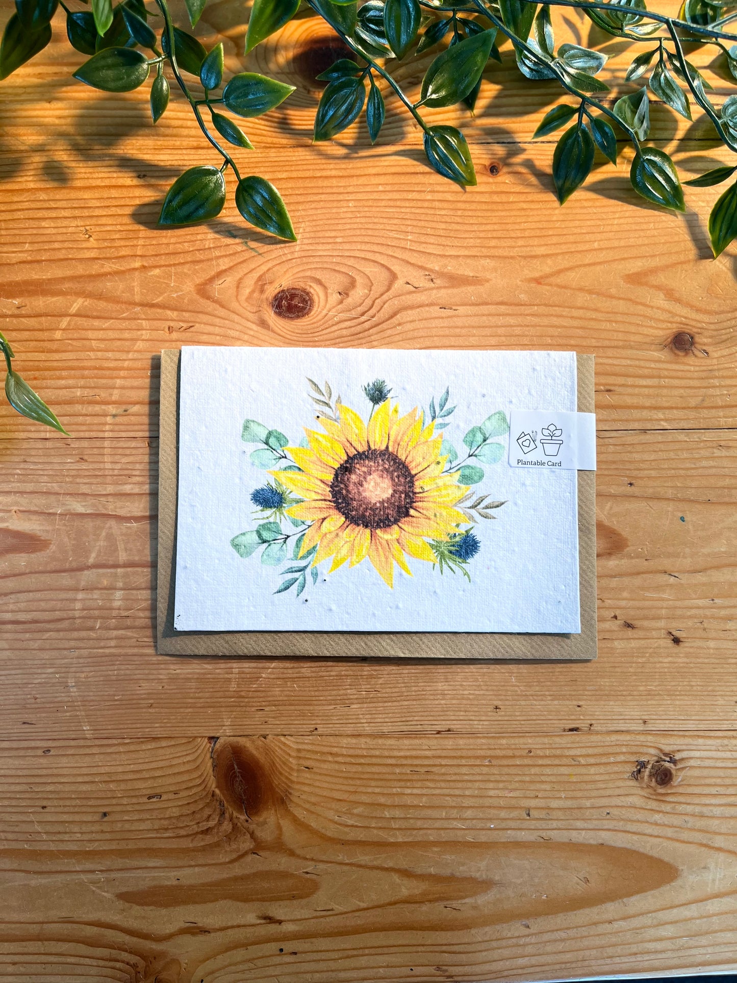 Paper Seed Card -  SunflowerPaper Seed Card -  Sunflower"Handmade, packed full of bee friendly flower seeds and made from 100% Pre-consumer recycled cotton"
Our seed paper cards are made here at Scribe and Grow using seedScribe & GrowScribe & GrowPaper Seed Card - Sunflower