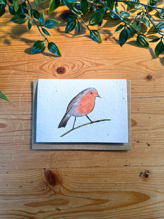 Paper Seed Card -  Robin By Daisy DoodlesPaper Seed Card -  Robin By Daisy Doodles"Handmade, packed full of bee friendly flower seeds and made from 100% Pre-consumer recycled cotton"
Our seed paper cards are made here at Scribe and Grow using seedScribe & GrowScribe & GrowPaper Seed Card - Robin