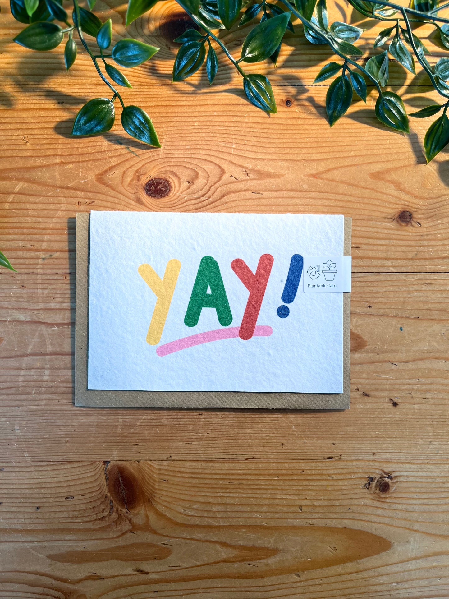 Paper Seed Card -Yay!Paper Seed Card -Yay!"Handmade, packed full of bee friendly flower seeds and made from 100% Pre-consumer recycled cotton"
Our seed paper cards are made here at Scribe and Grow using seedScribe & GrowScribe & GrowPaper Seed Card -Yay