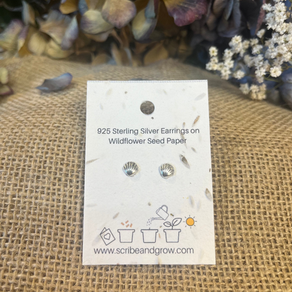 Shells - 925 Sterling Silver Earrings