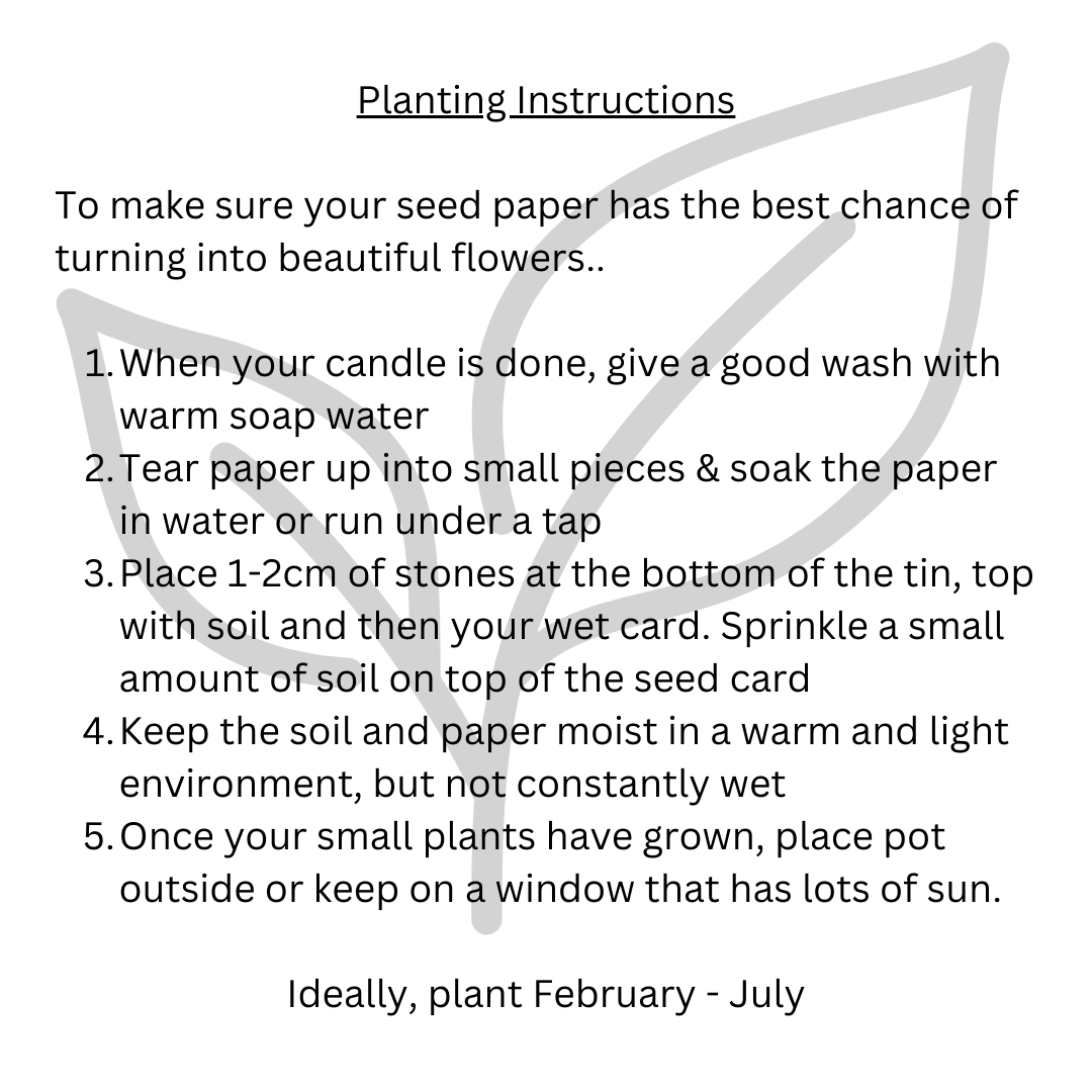 Grow Candle - PopularScented CandleGrow Candle - PopularInspired by the hit musical, our Popular fragrance captures tiny droplets of sunshine, sparkling through a delicate, powdery-sweet floral bouquet.
Our Grow Candles aScribe & GrowScribe & GrowGrow Candle - Popular